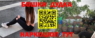 молекула духа Краснодар